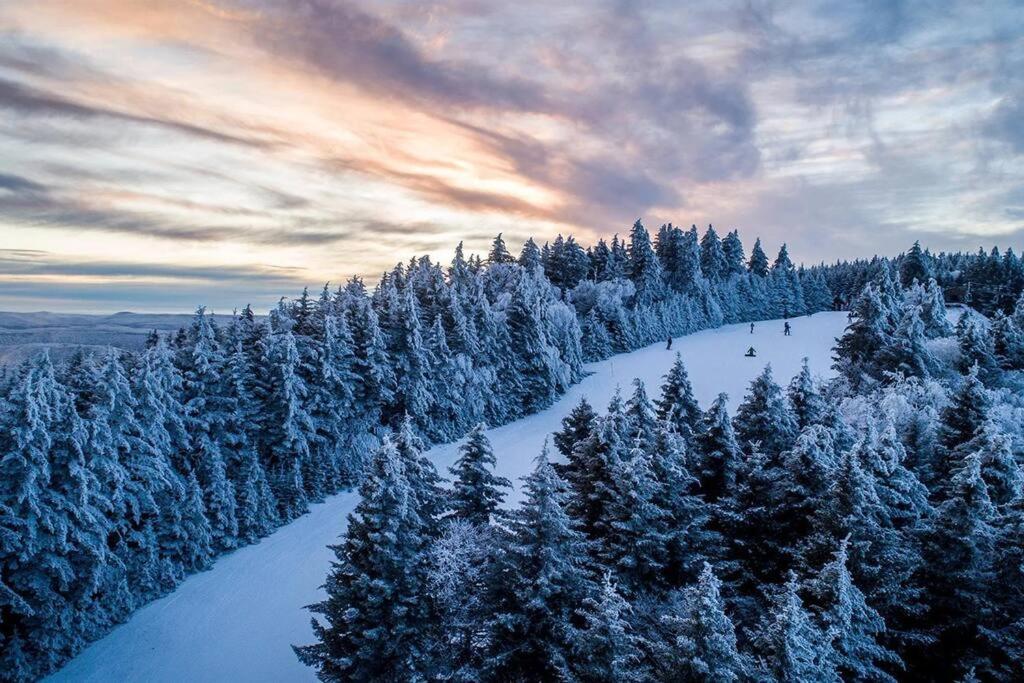 Mountain Lodge Getaway, Ski-In/Ski-Out, Heart Of The Village Snowshoe Esterno foto